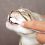 Dentální hygiena pro kočku, zubní pasta + kartáčky