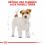 ROYAL CANIN JACK RUSSEL AD 1,5KG