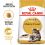 ROYAL CANIN Maine Coon Adult 10 kg