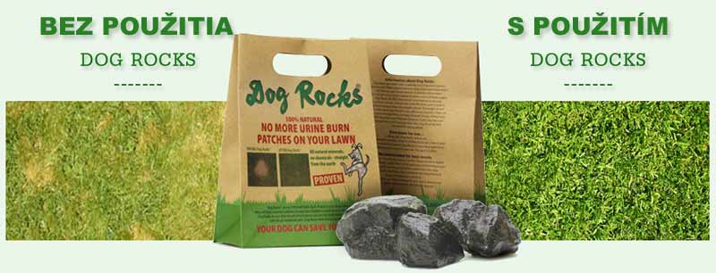 Dog Rocks -prírodné kamene proti vypaľovaniu trávnika psím močom